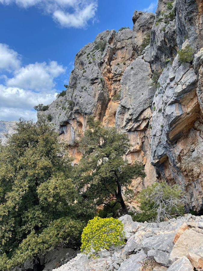 Casa Vacanze Sa Piazza Lejlighed Dorgali Eksteriør billede